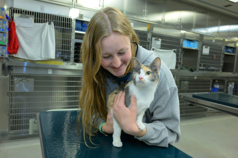 Veterinary student Marin Auth holds a cat.
