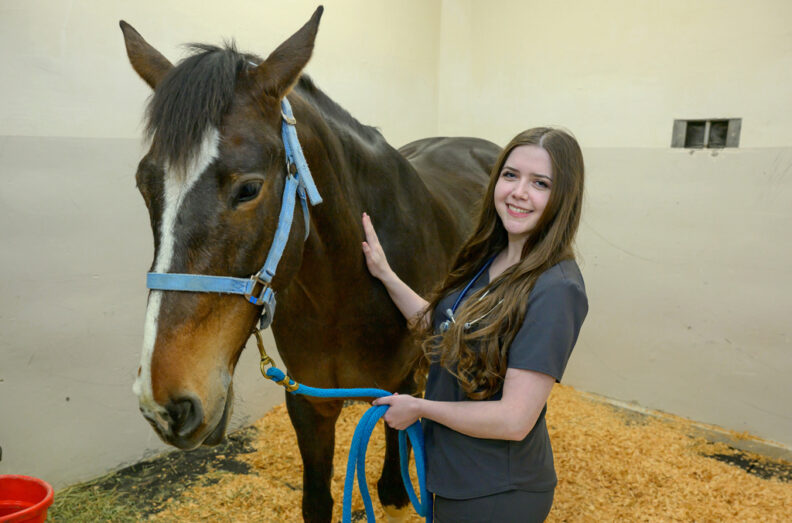 Jessi with a horse in a stall at the Teaching Hospital barns.