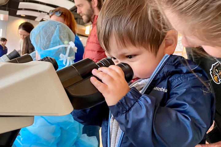 Very young boy looking through a microscope.