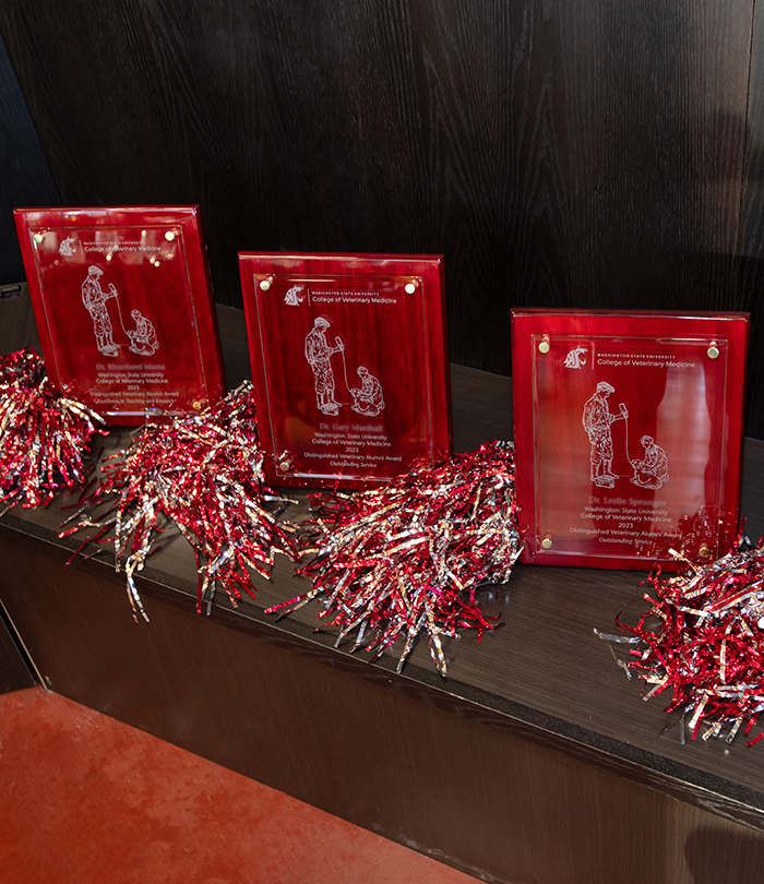 Table with alumni award trophies 
