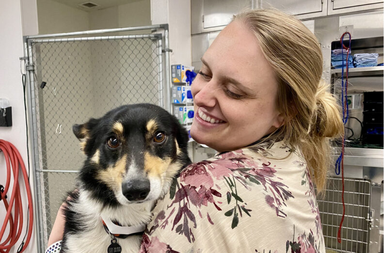 Ashley in the Veterinary Teaching Hospital. She is holding a medium sized collie mix dog.