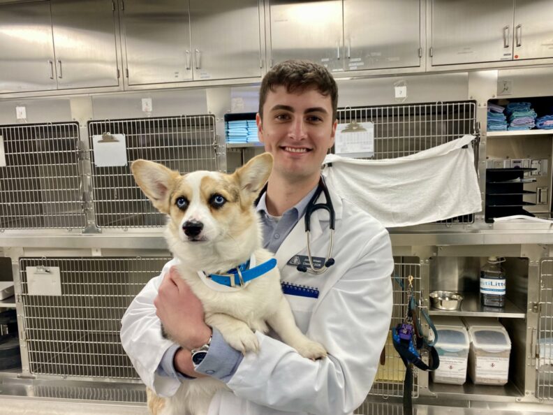 Jonah Wisen holds a dog at the VTH.