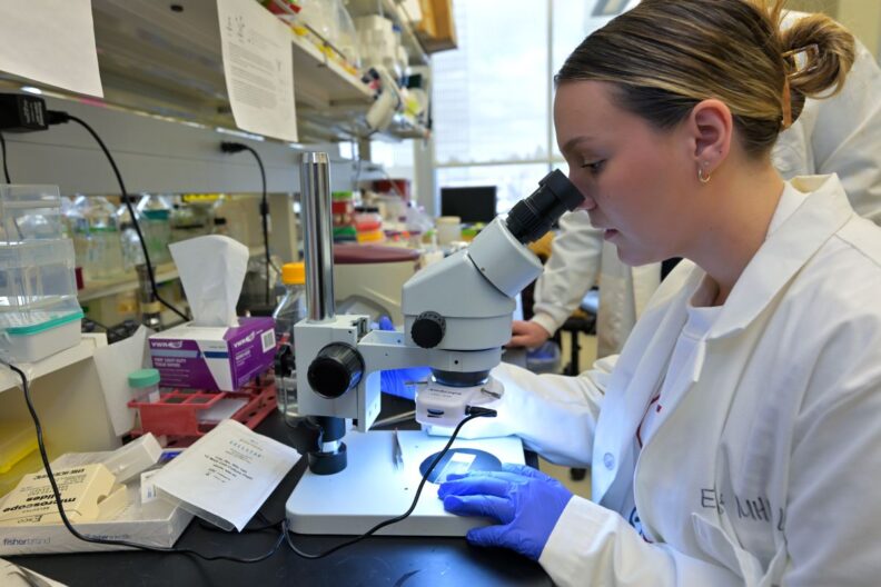 Halie Harwood looks through a microscope.