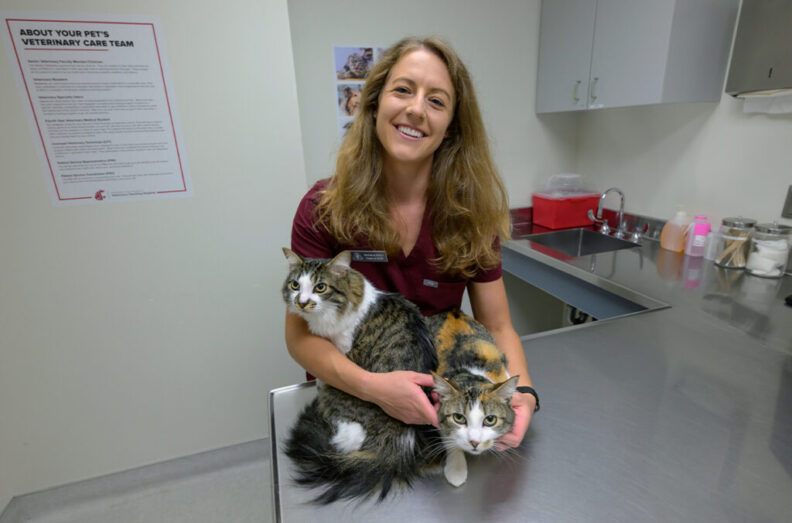 Montana Milton in an exam room in the Veterinary Teaching Hospital, with two cats.
