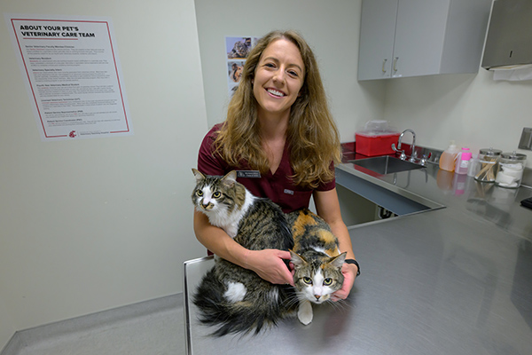 DVM student with cats