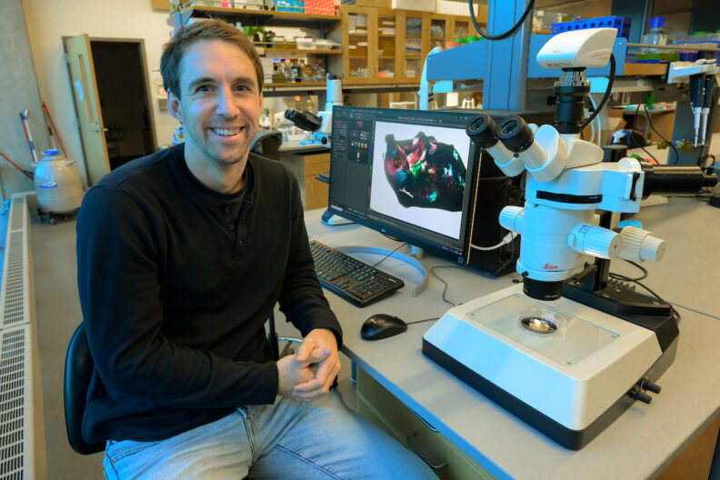 Dr. Nathan Law sits in his lab.