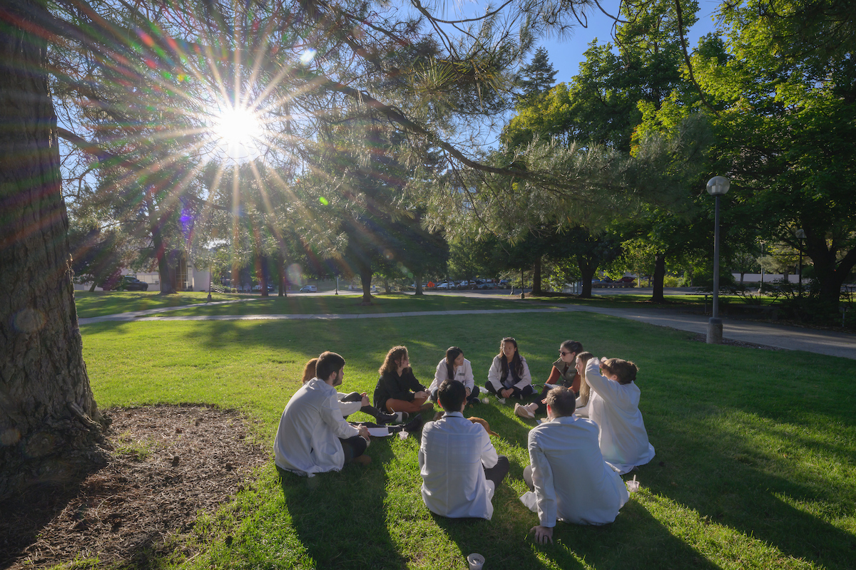 Students under tree on lawn