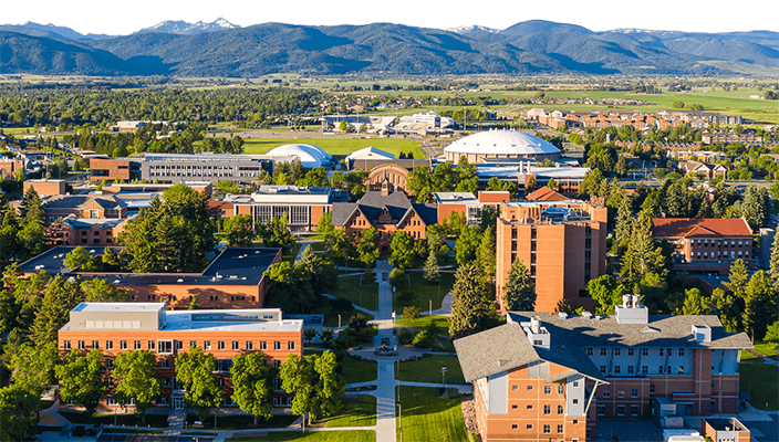Two WSU Veterinary students (L) talk with a patient about their cat's health.