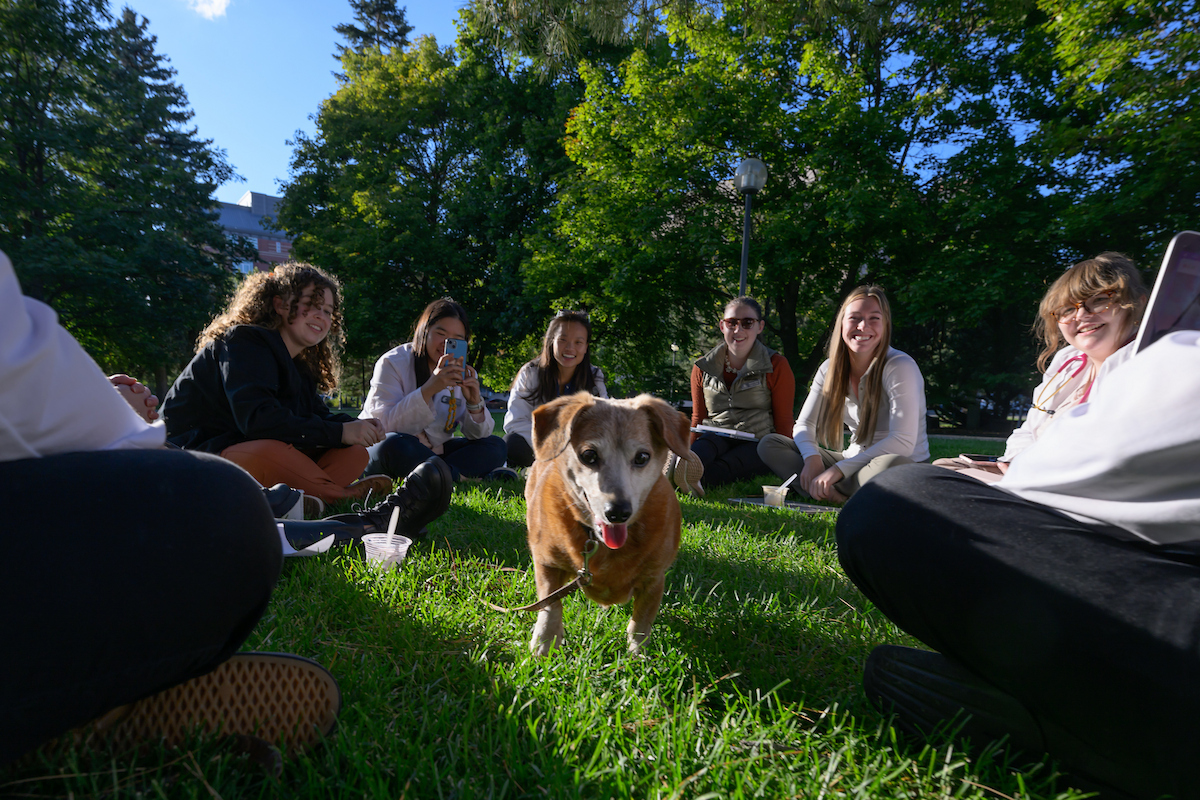 Students on lawn with dog