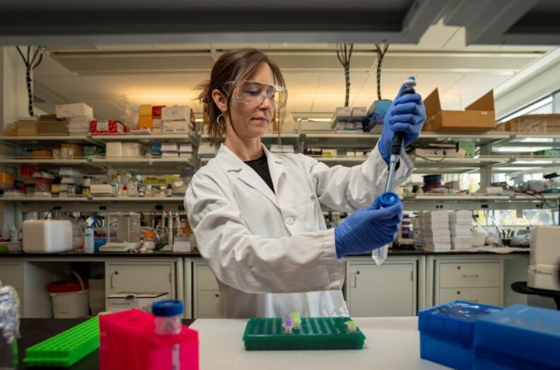 PhD candidate Erika English is working on research that supports a theory that has been building at WSU for years