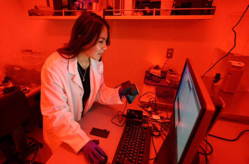 Jasmin Ocean Chu, a neuroscience junior and EschLEAD scholar in WSU's College of Veterinary Medicine, works in a lab lit with red light to regulate the sleep cycles of mice used in research.