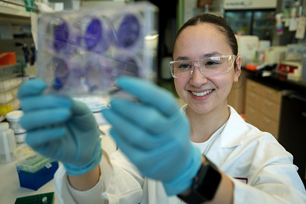 Student looking at petri dishes