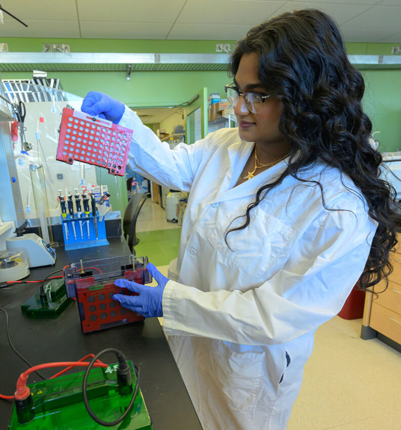 Kyu Jin “KJ” Youm, a sophomore biology major and undergraduate EschLEAD research scholar in Arden Baylink’s lab in Washington State University's College of Veterinary Medicine, poses for a photo.