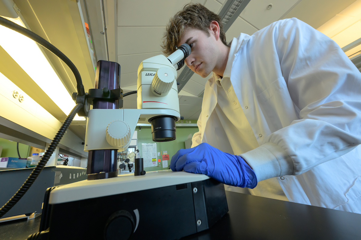 Undergraduate student in lab