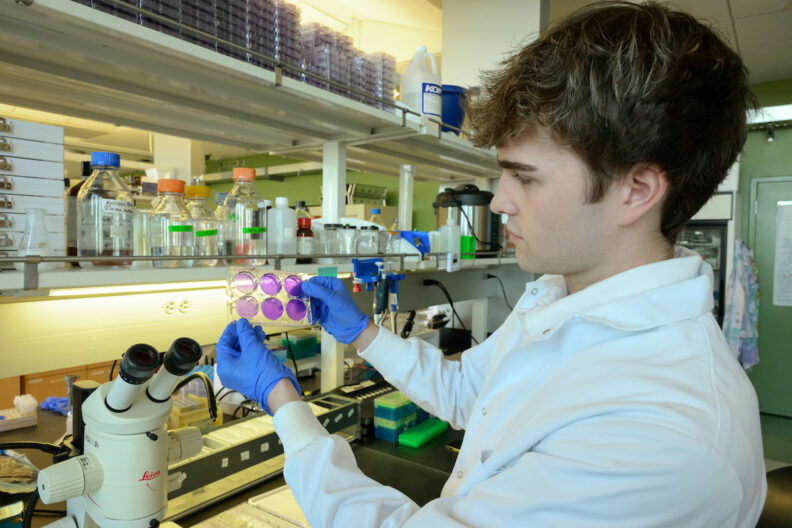 Undergraduate student working in a lab