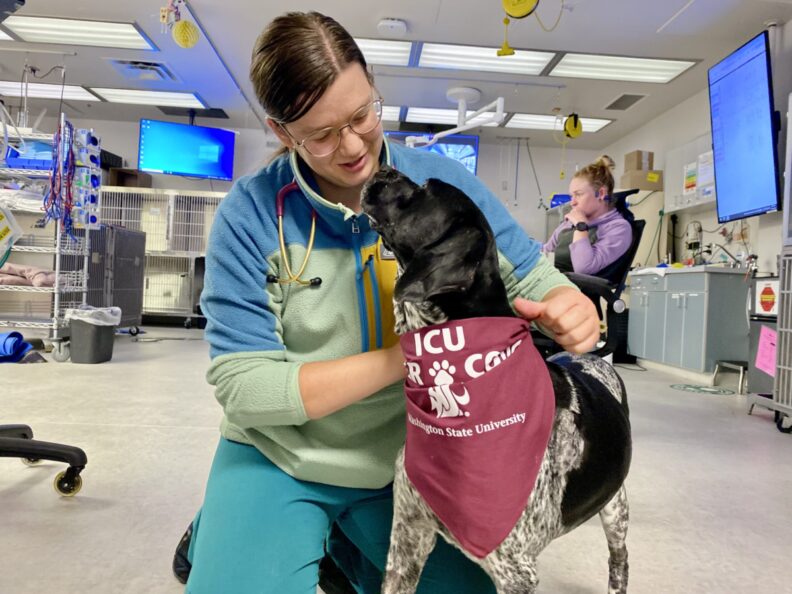 Susanna Kielley with a dog.