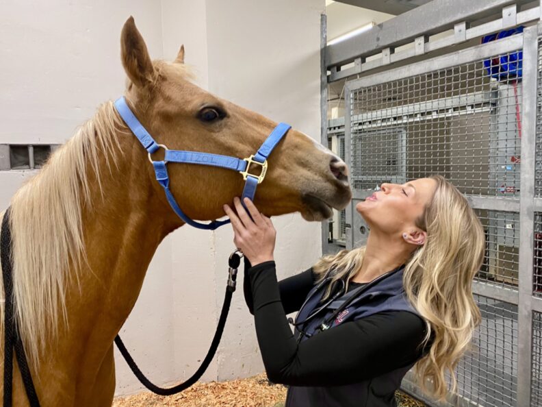 Veterinary student Leanne Poole puts her face close to the face of a horse.