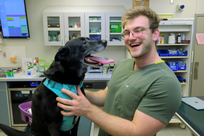 Luke Pietsch smiles at a dog.