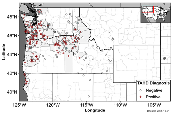 Regional map of the postive and negative cases.