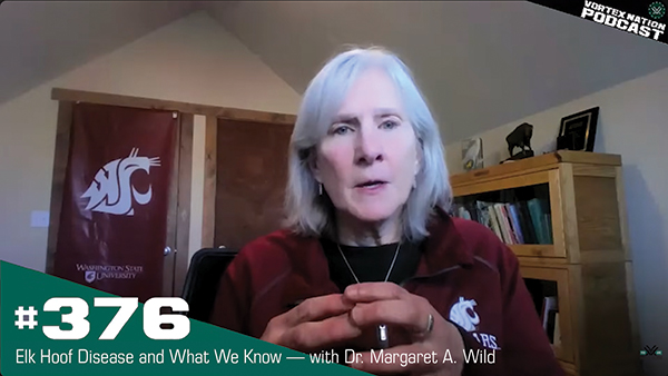 Screen grab from YouTube. Dr. Wild is in frame.