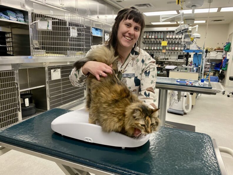 Kara Self poses with a cat.