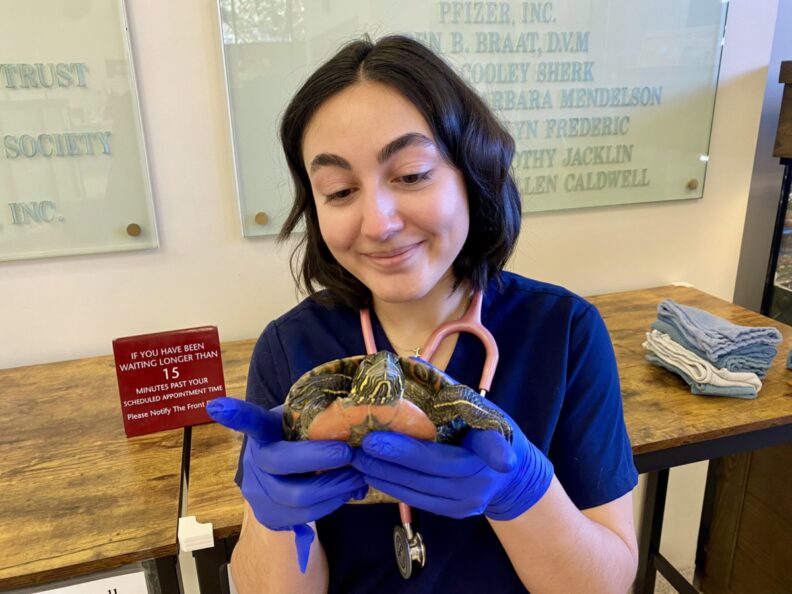 Maya Boyle holds a turtle.
