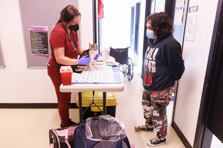 Maddie Gray, a fourth-year veterinary student at Washington State University, left, talks with Ellise, right, during an exam for her tabby cat Melody at the One Health Clinic.