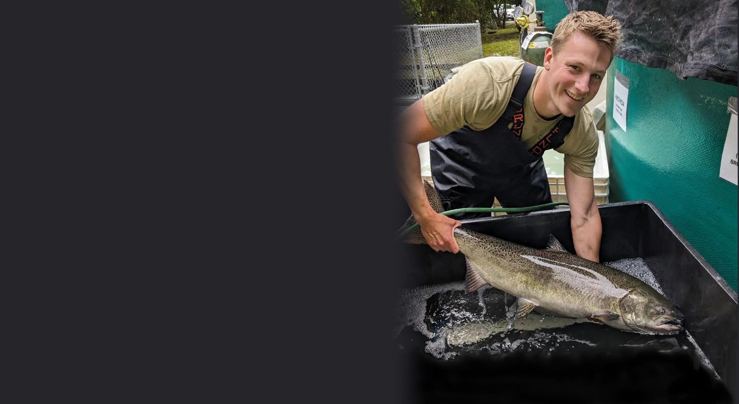 Charlie Stewart-Bates holds a Chinook salmon adult prior to collecting samples for virus surveillance.