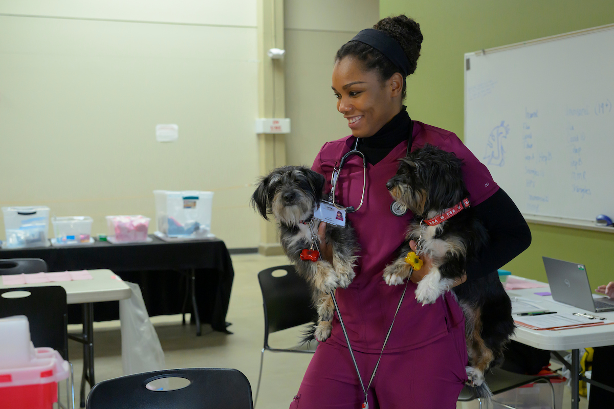 Veterinarian with two dogs