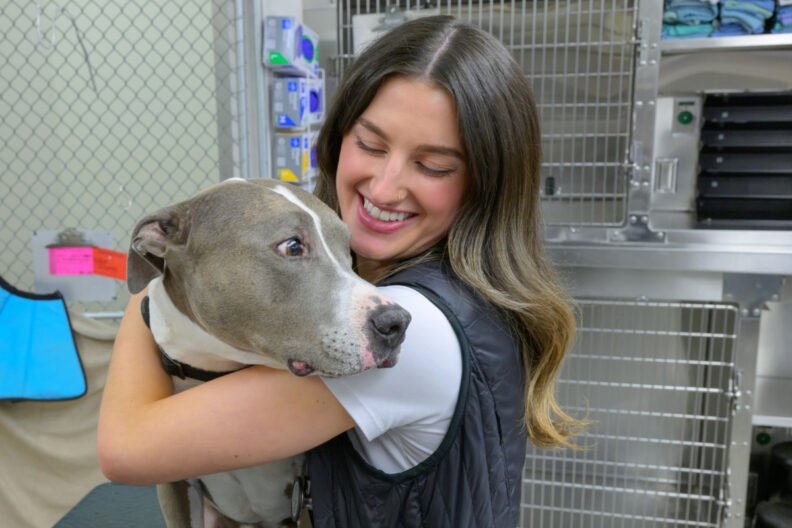 Renick Meyer examines a dog in the Veterinary Teaching Hospital.