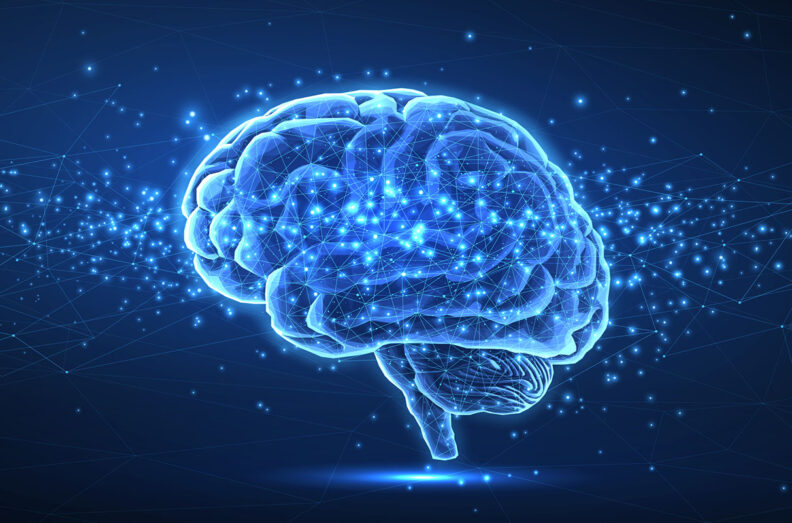 Stock image/graphic of brain.