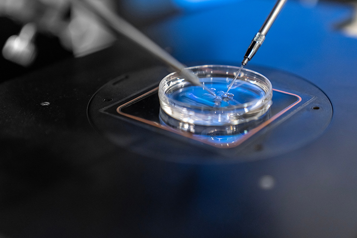 Petri dish with gel in it