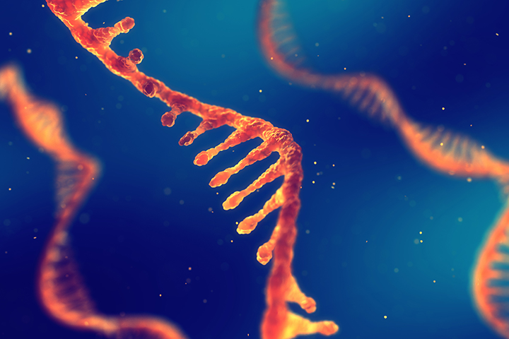 RNA 
