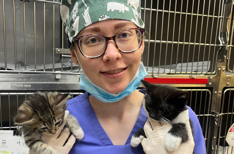 Ammasie in the Teaching Hospital, holding 2 kittens.