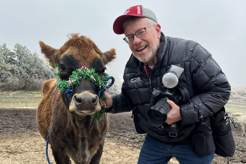 Ted with the College's cow.