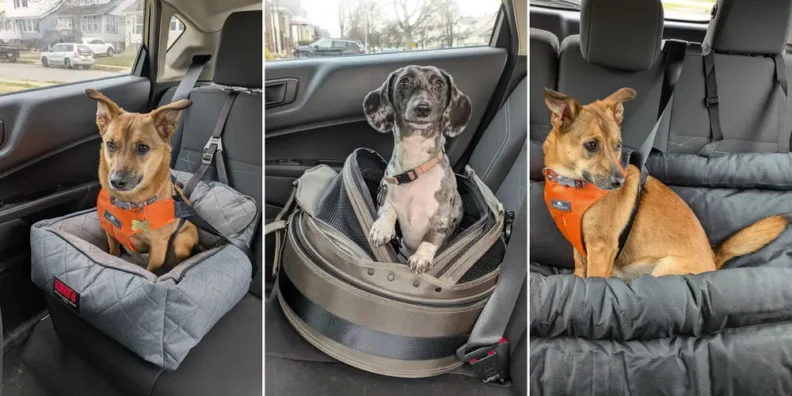 Collage of 3 images showing different seat/restraint options.