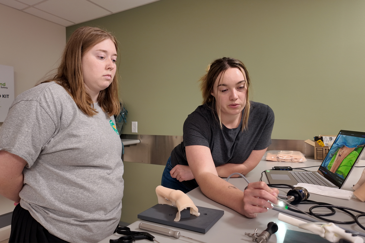 Summer Veterinary Research Fellow: Anna Blackburn advances arthroscopy training 