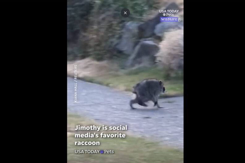 Screen grab from video of Jimothy running across a sidewalk.