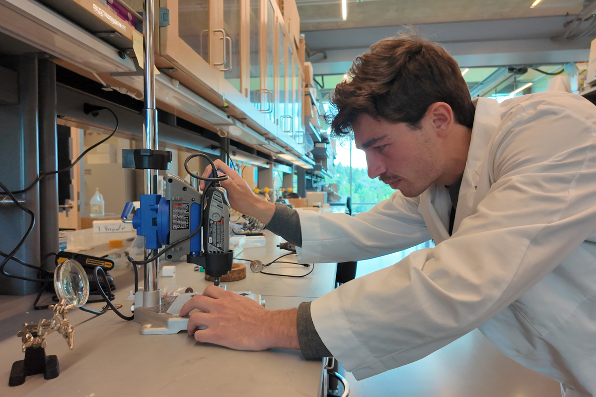 Summer Veterinary Research Fellow: Ari Klausner explores a new approach to opioid use disorder treatment