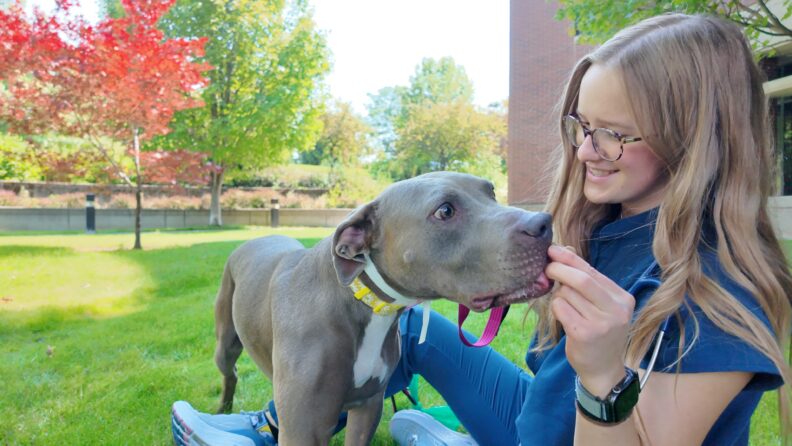 Brooklynn Balic feeds a treat to a dog.