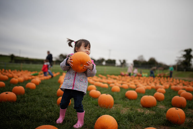 Kid in pumpkin patch