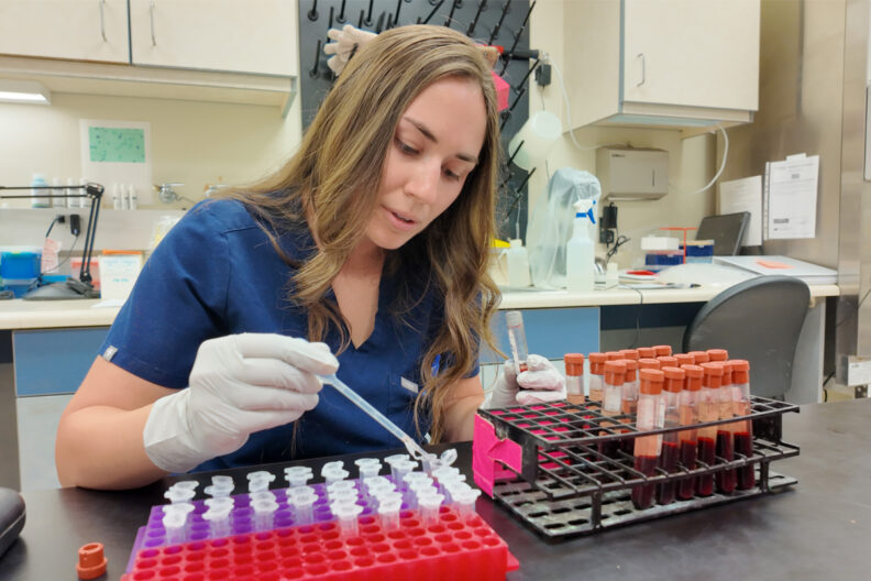 Tessa working with blood samples.