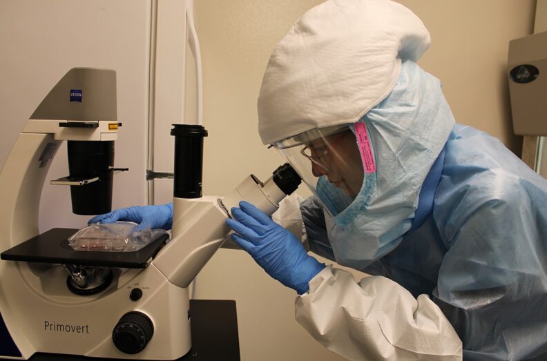 Lindsay Grace Miller, wearing full PPE, looking at specimen through microscope.