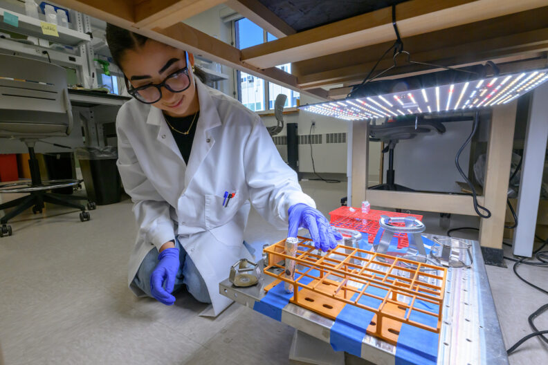 Valentina Iturbe Fuentes, an undergraduate double major in Biology and Neuroscience (in Washington State University's College of Veterinary Medicine) with a minor in Psychology on the pre-medical track, poses for a photo in the lab where she does research on Thursday, Sept. 3, 2026, in Pullman.