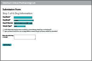Illustration of submission form filled out.
