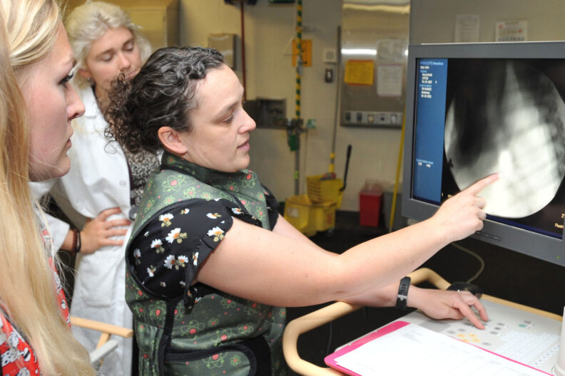 Dr. Haines demonstrating a videofluoroscopic procedure.