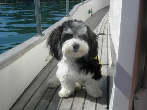 Patch on the deck of a boat.