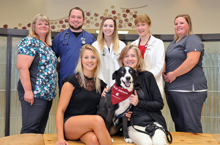 Portrait of team in the WSU veterinary teaching hospital lobby