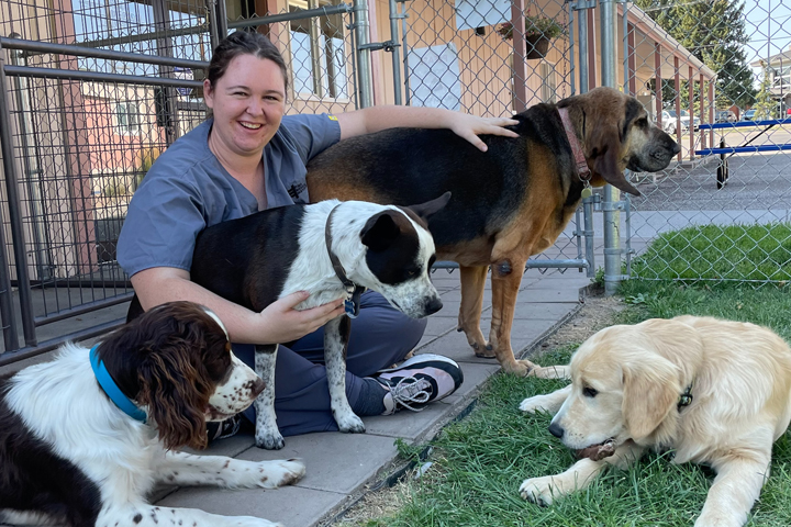 Catherine sitting on the ground with three large dogs.