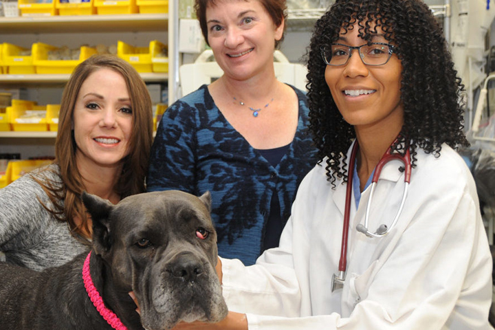 Holli, Linda, and Tandy with Leah the dog in the WSU veterinary teaching hospital intensive care.